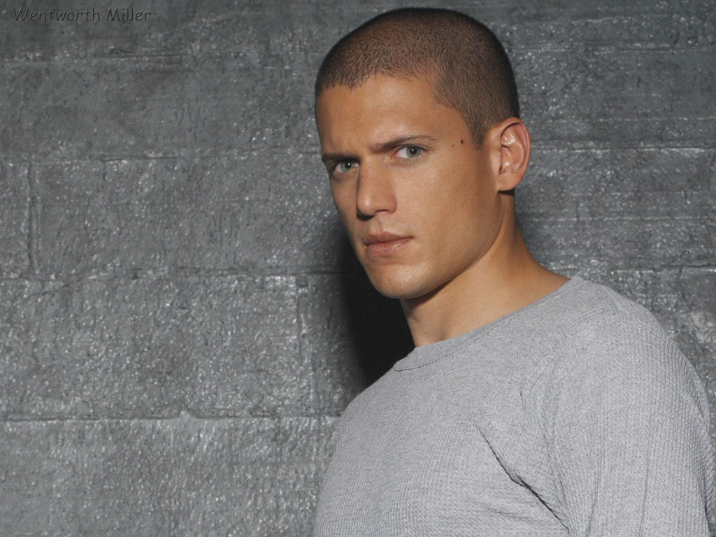 Fonds d'cran Clbrits Homme Wentworth Miller Wentworth Miller