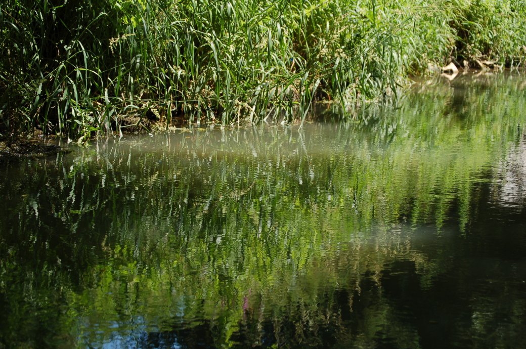 Wallpapers Nature Water - Reflection 