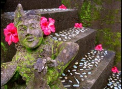 Fonds d'cran Objets BALI UBUD 2006