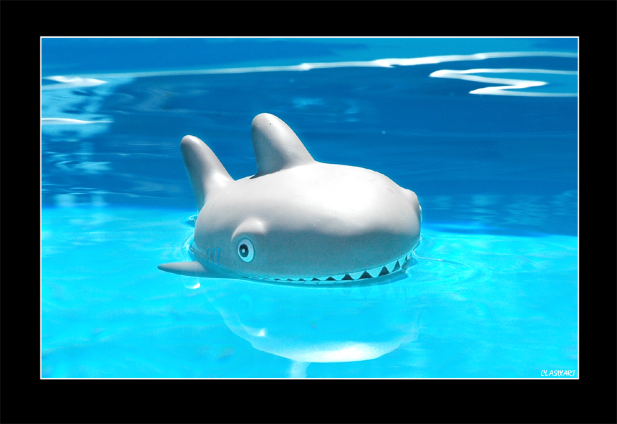 Wallpapers Objects Miscellaneous Sharky Pool