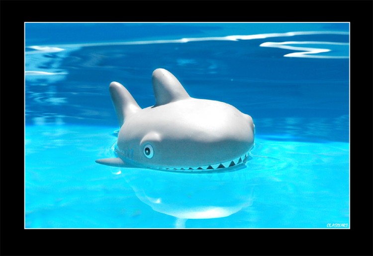 Wallpapers Objects Miscellaneous Sharky Pool