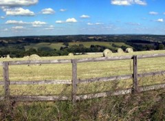 Wallpapers Nature Pano en Limousin