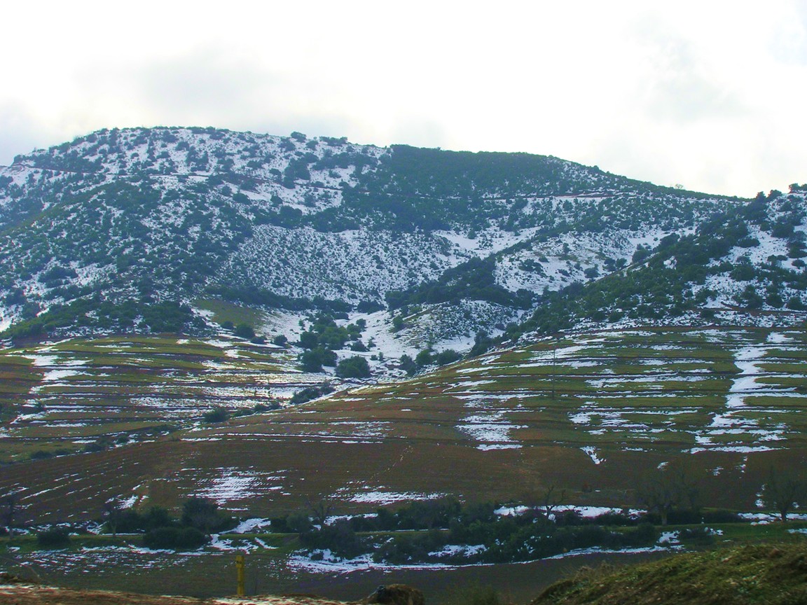 Fonds d'cran Voyages : Afrique Algrie Cheffa Mountains