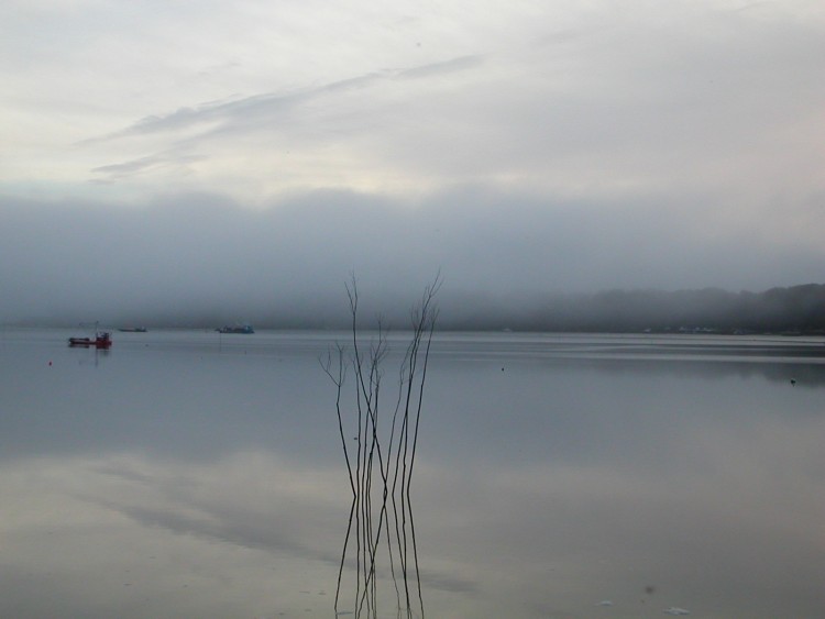 Wallpapers Nature Water - Reflection fog of evening