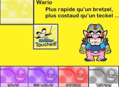 Fonds d'cran Jeux Vido Wario