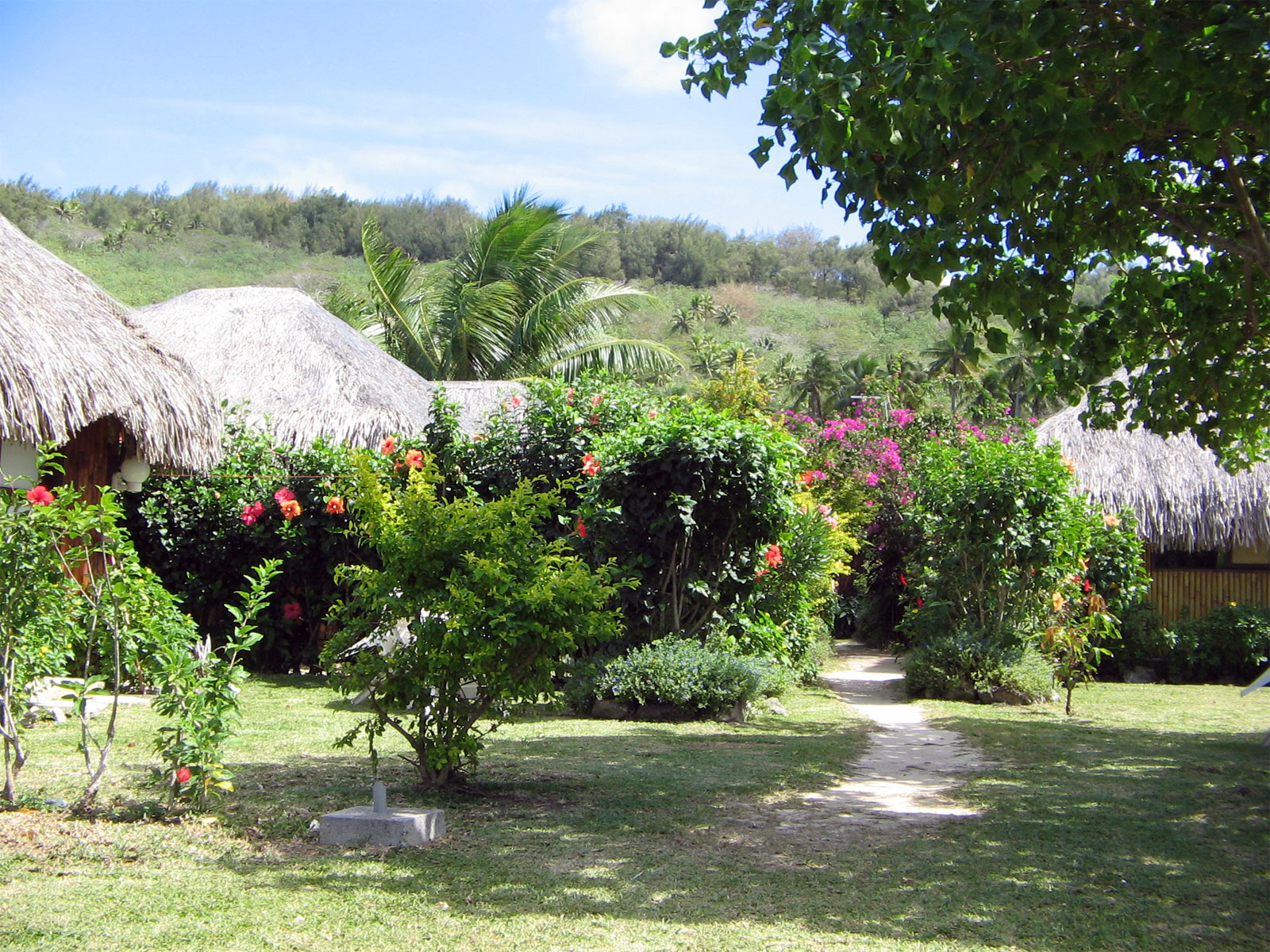 Wallpapers Nature Parks - Gardens Jardin  bora bora