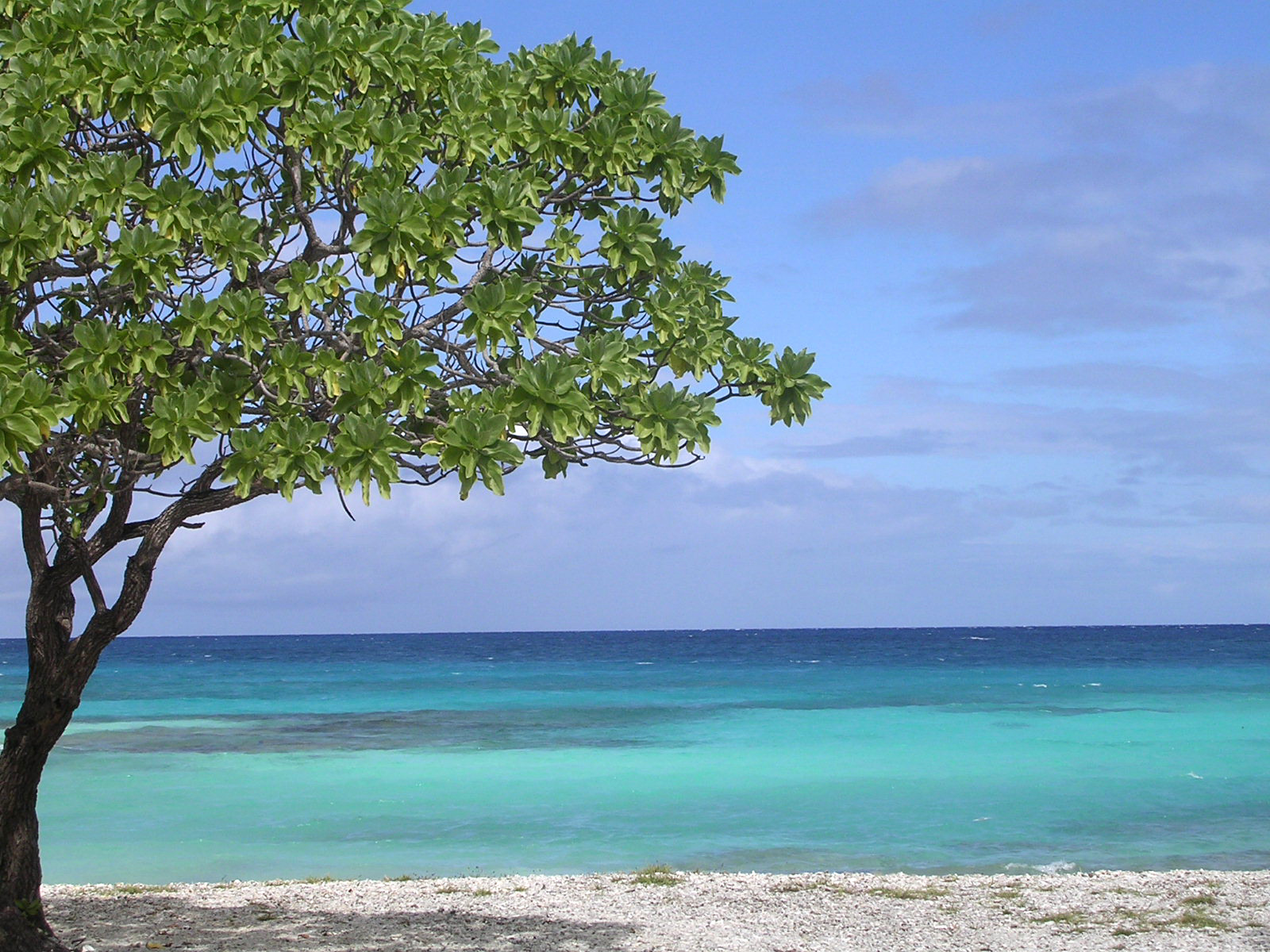 Fonds d'cran Nature Iles Paradisiaques Rangiroa