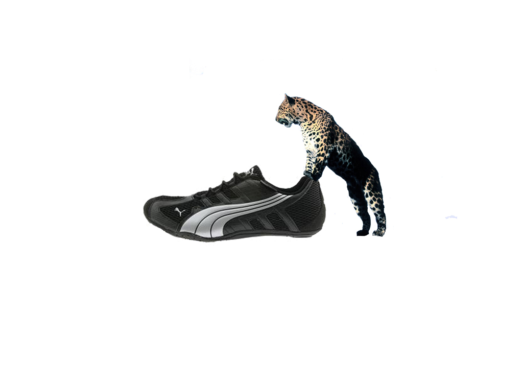 Fonds d'cran Grandes marques et publicit Puma puma VS puma