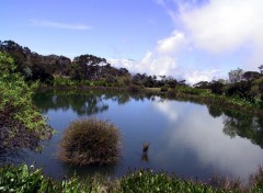 Wallpapers Trips : Africa Le Piton de l'eau sur le chemin du Piton de la Fournaise