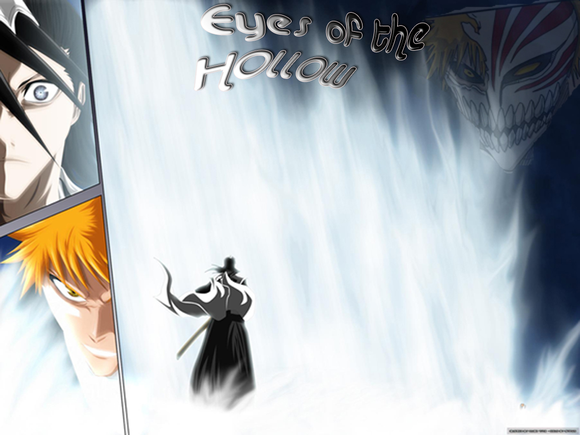 Fonds d'cran Manga Bleach eyes of the hollow