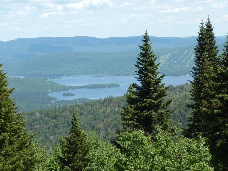 Wallpapers Nature Trees - Forests LAc Archambailt - Saint-Donnat - Qubec