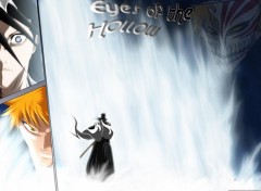 Wallpapers Manga eyes of the hollow