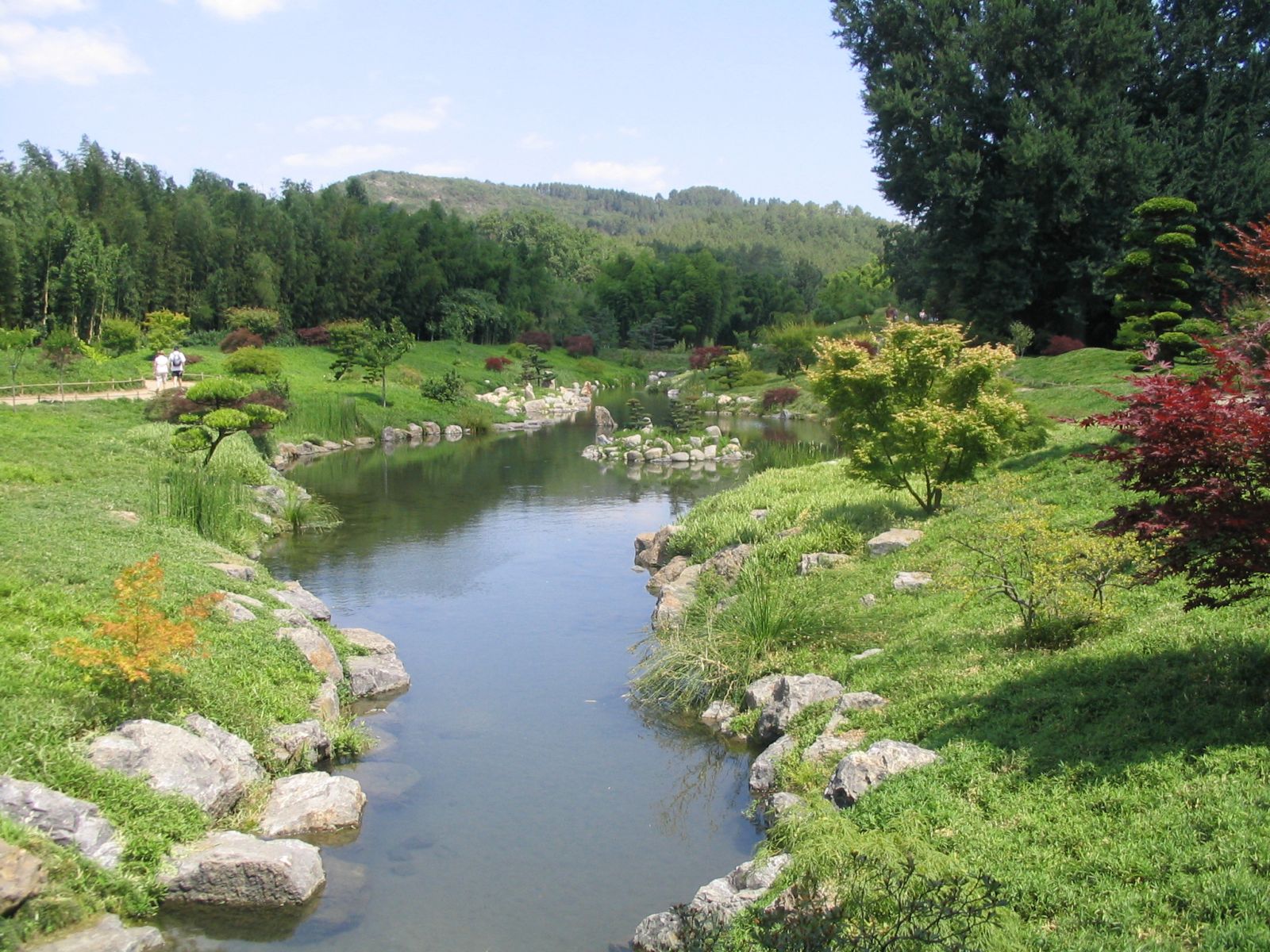 Wallpapers Nature Parks - Gardens jardin aquatique( bambouzeraie)