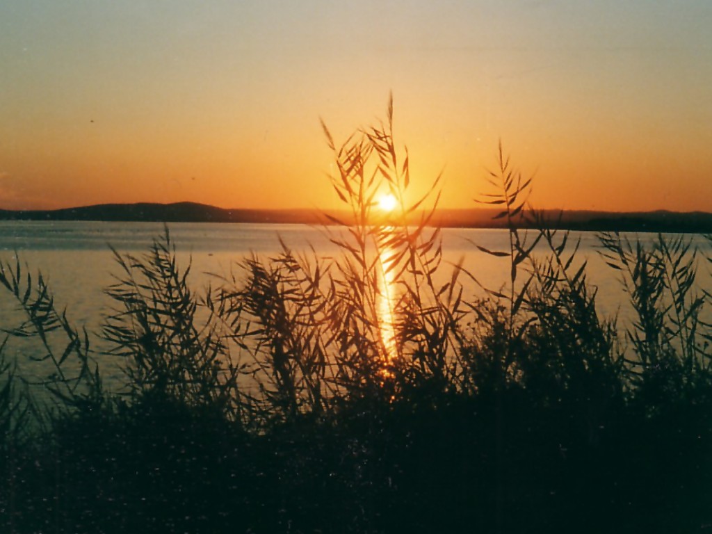 Wallpapers Nature Sunsets and sunrises coucher de soleil camargue