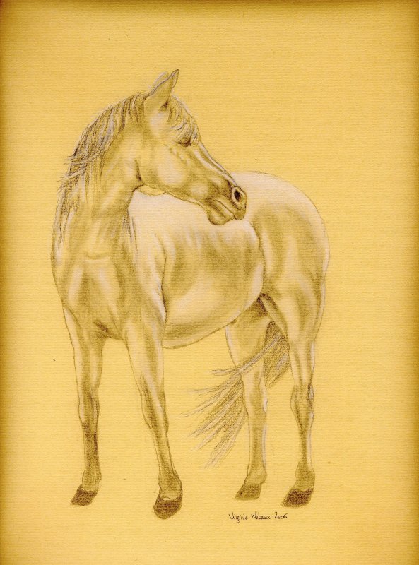 Fonds d'cran Art - Crayon Animaux - Chevaux Cheval