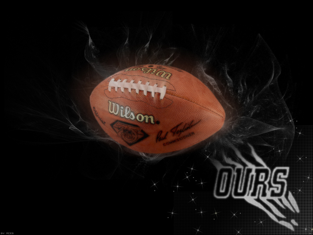 Wallpapers Sports - Leisures American Football Ours Toulouse