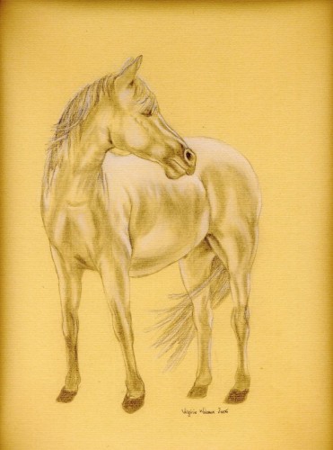 Wallpapers Art - Pencil Animals - Horses Cheval