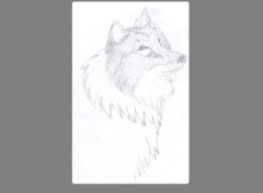 Wallpapers Art - Pencil loup