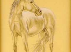 Fonds d'cran Art - Crayon Cheval