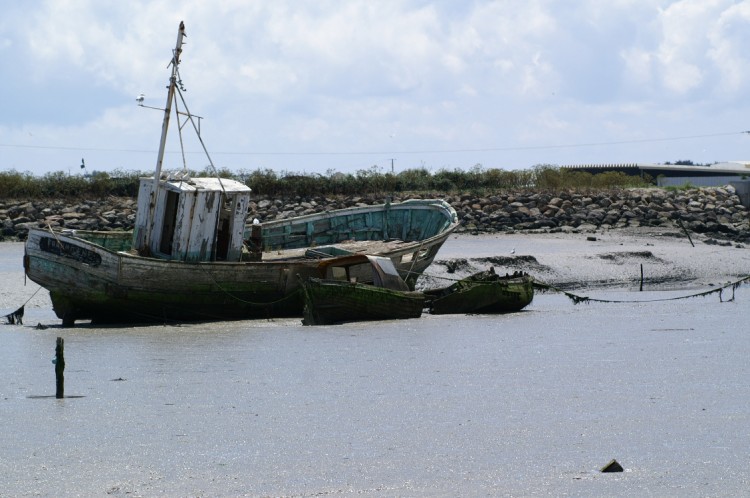 Wallpapers Boats Fishing Boats Noirmoutier