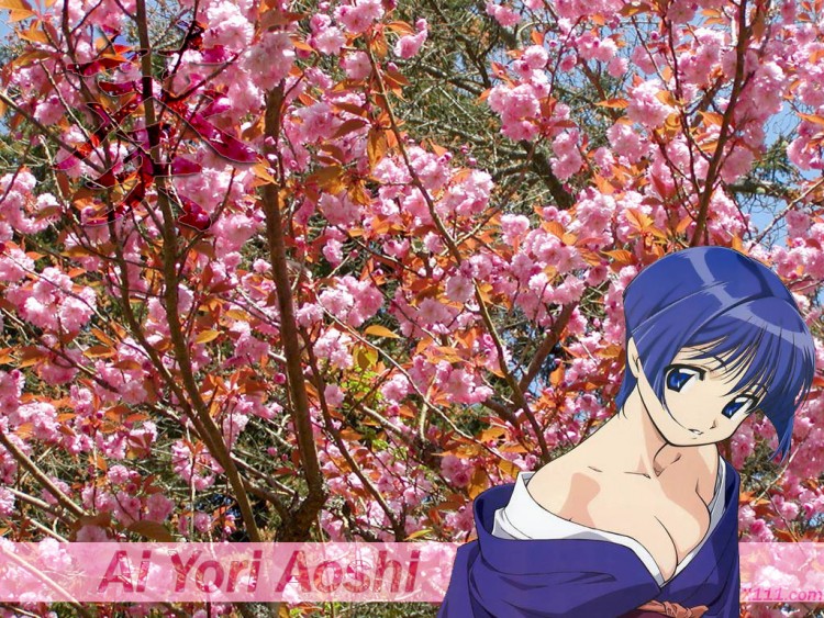 Fonds d'cran Manga Ai Yori Aoshi aoi yori aoshi S1