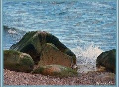 Fonds d'cran Nature Fleuve St-Laurent