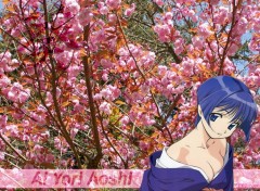 Fonds d'cran Manga aoi yori aoshi S1