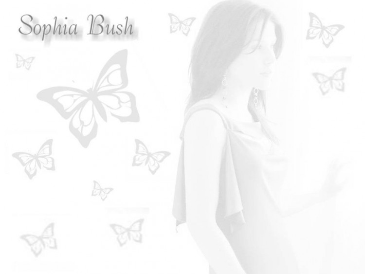 Wallpapers Celebrities Women Sophia Bush Sophia Bush