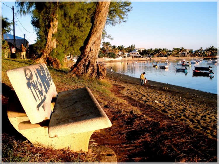 Fonds d'cran Nature Mers - Ocans - Plages INCIVILITE