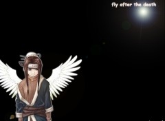 Fonds d'cran Manga haku's fly after death