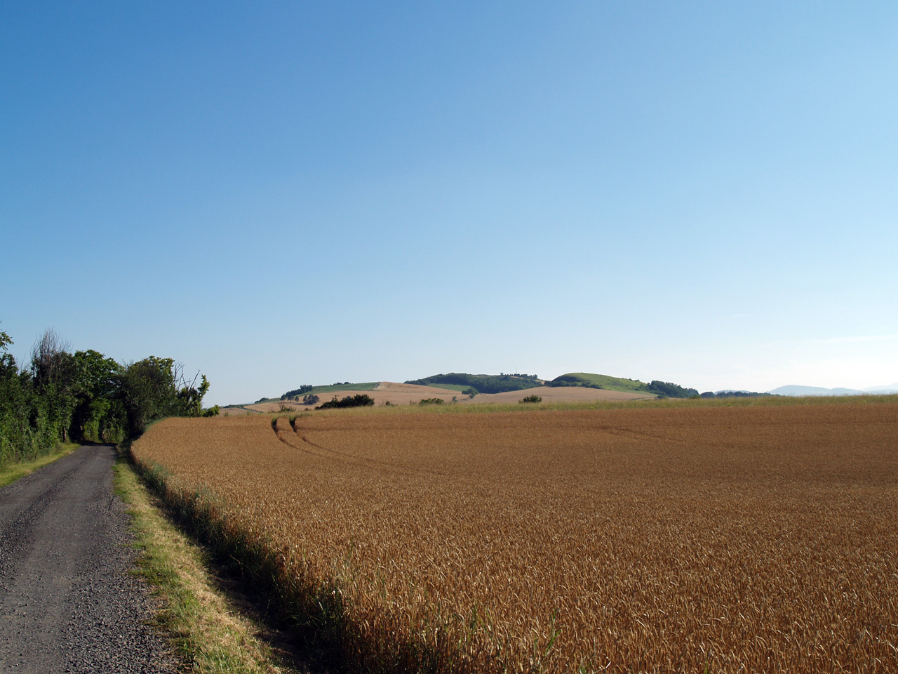 Wallpapers Nature Fields Joli paysage