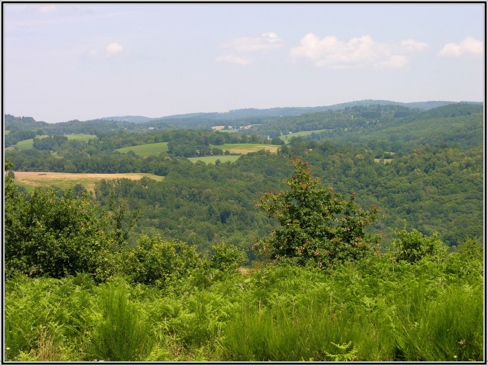 Fonds d'cran Voyages : Europe France > Limousin Monts de Bussy