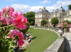 Fonds d'cran Voyages : Europe jardin du Luxembourg