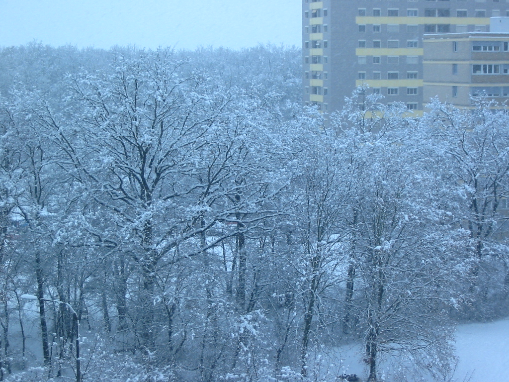 Fonds d'cran Nature Saisons - Hiver Aprs les chutes de neige