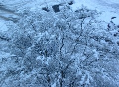 Fonds d'cran Nature Chute de neige