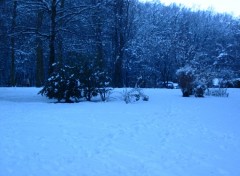 Fonds d'cran Nature plein de neige