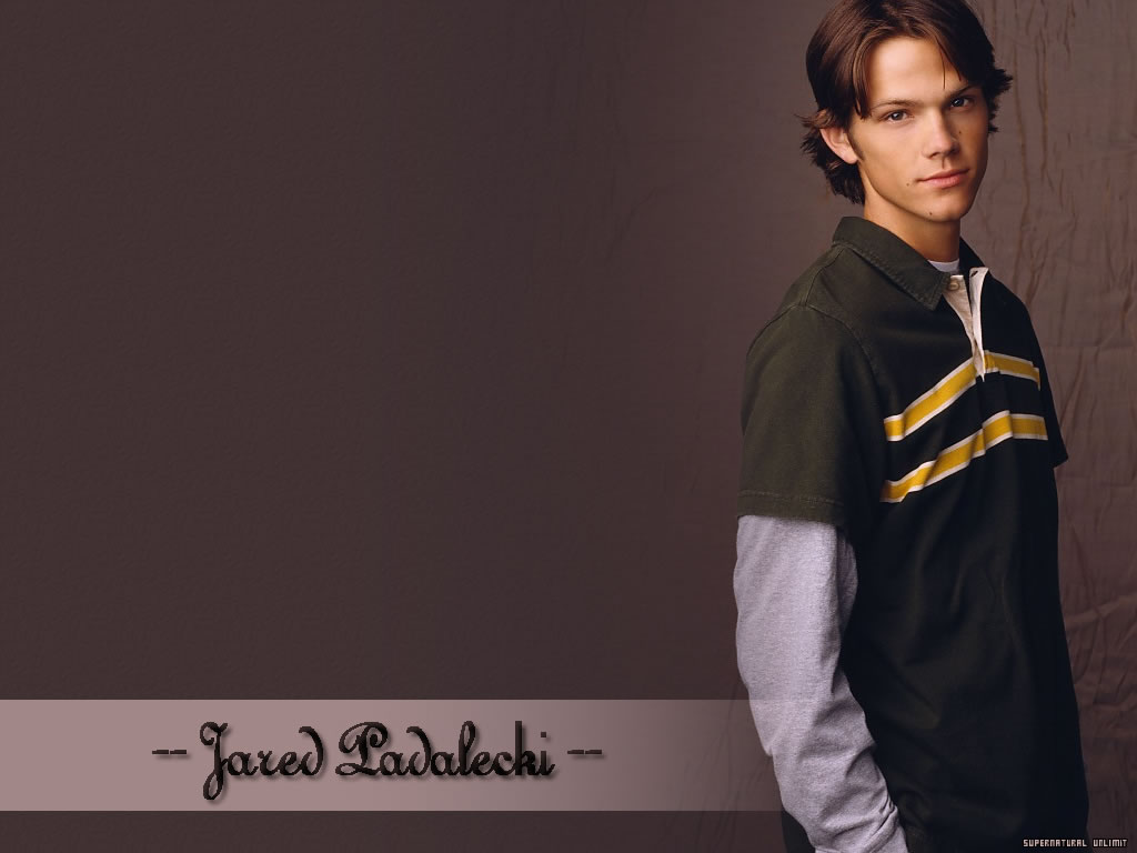 Wallpapers Celebrities Men Jared Padalecki Jared Padalecki