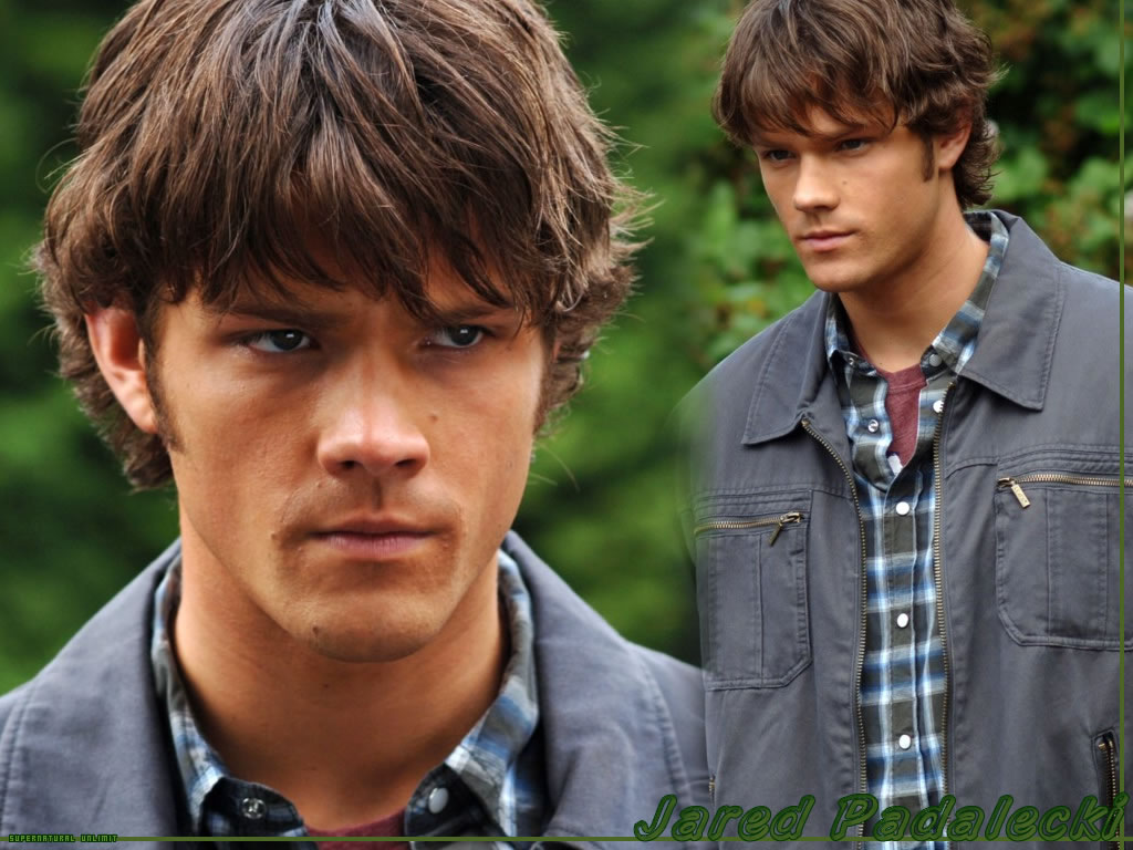 Fonds d'cran Clbrits Homme Jared Padalecki Jared Padalecki