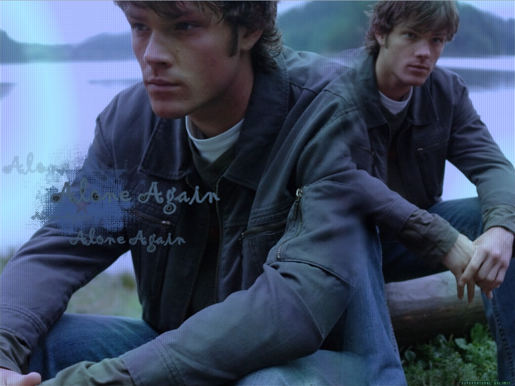 Wallpapers Celebrities Men Jared Padalecki Jared Padalecki