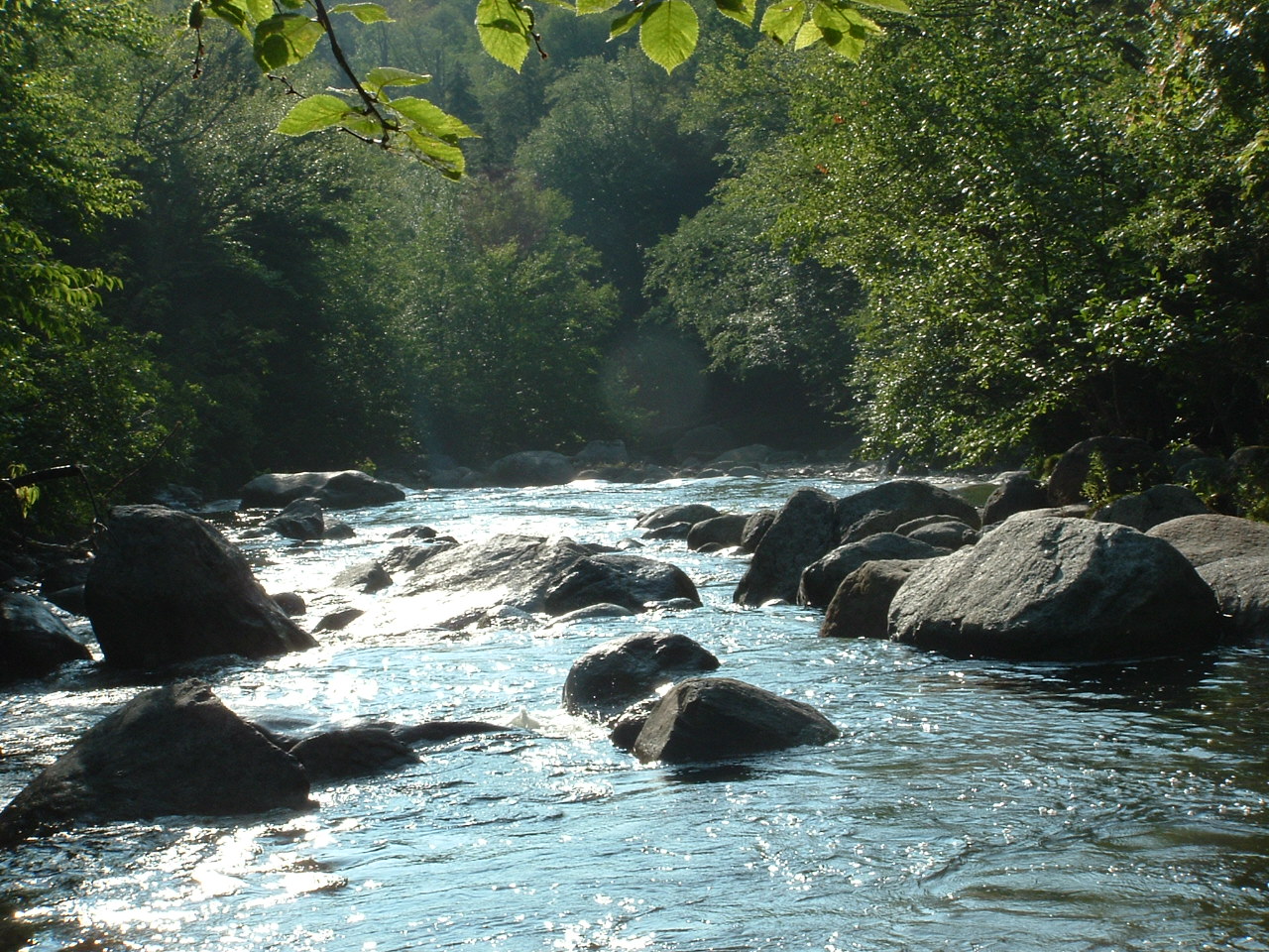 Fonds d'cran Nature Fleuves - Rivires - Torrents 