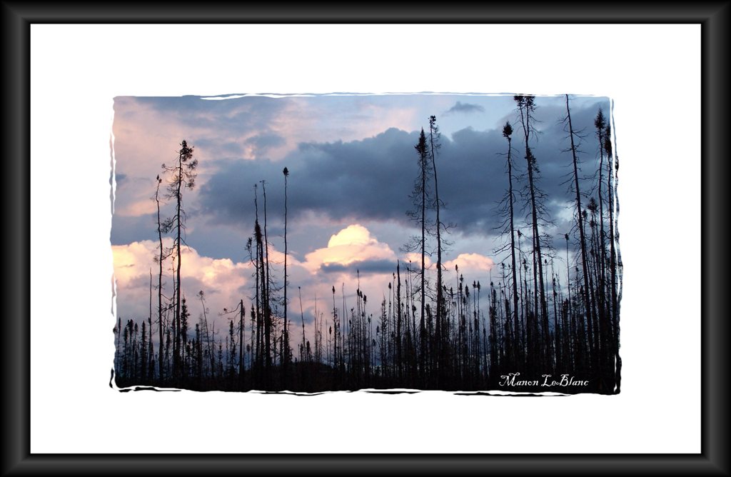 Fonds d'cran Nature Ciel - Nuages Coucher de soleil ros  LG-4