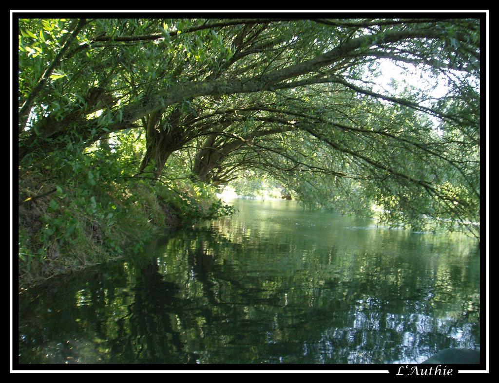 Fonds d'cran Nature Lacs - Etangs 