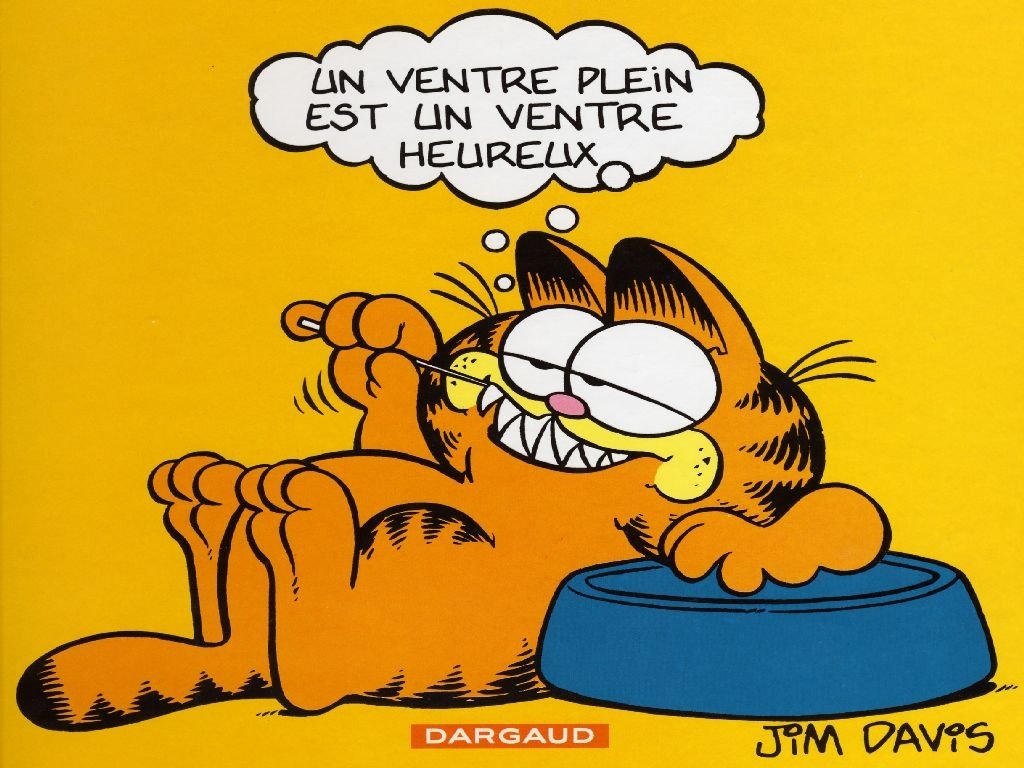 Fonds d'cran Comics et BDs Garfield garfield3