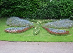 Fonds d'cran Nature Papillon