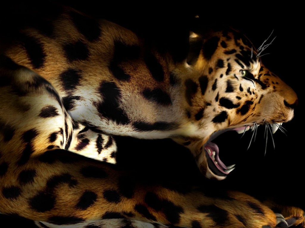 Fonds d'cran Animaux Flins - Jaguars 