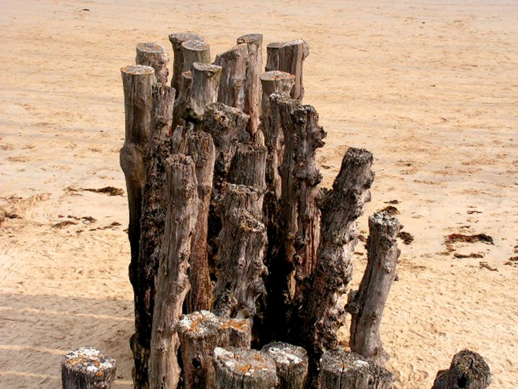 Fonds d'cran Nature Mers - Ocans - Plages Bord de mer