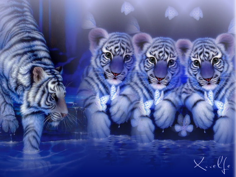 Fonds d'cran Art - Numrique Animaux Tiger Family