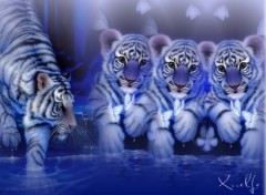 Fonds d'cran Art - Numrique Tiger Family