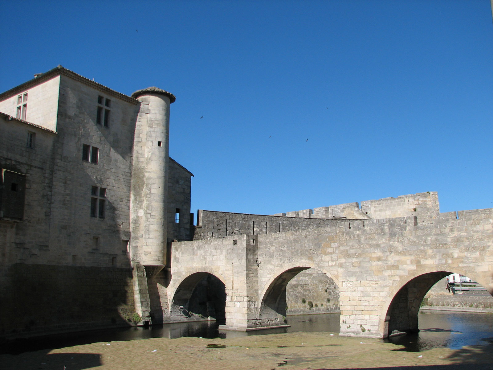 Fonds d'cran Voyages : Europe France > Languedoc-Roussillon Douves d'Aigue Morte