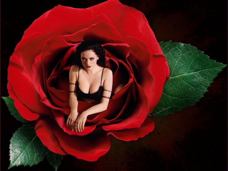 Wallpapers Celebrities Women Rose McGowan Rose Mcgowan